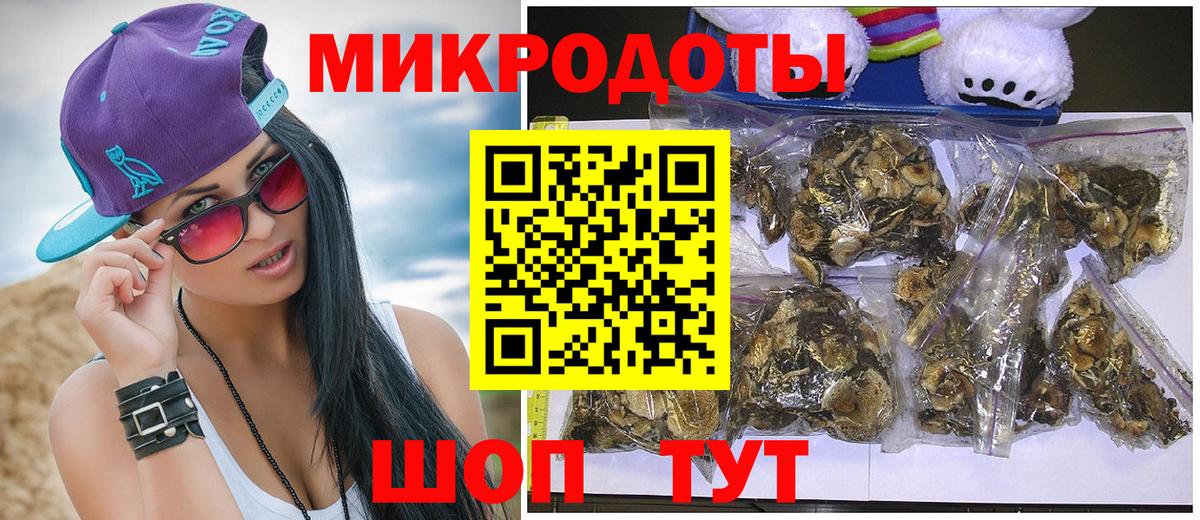 Химки  Псилоцибиновые грибы Cubensis  Галлюциногенные грибы Psilocybine cubensis  Вход с VPN 