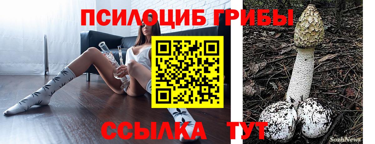 Псилоцибиновые грибы Cubensis Химки
